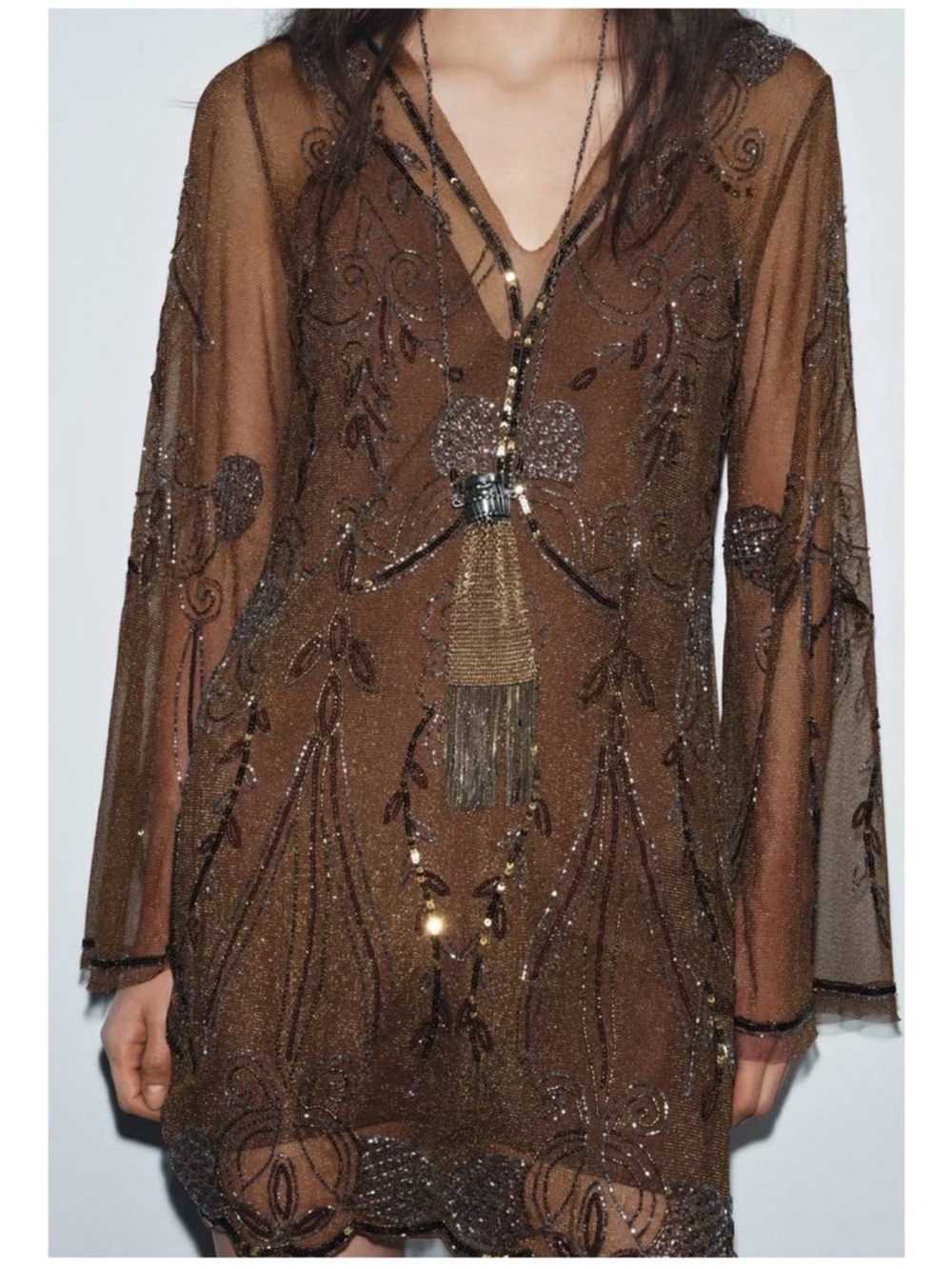 Zara Brown Beaded V-Neck Sheer-Sleeve Mini Dress - Picture 4 of 5